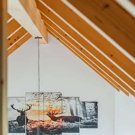 Lägenhet Penthouse Weiglhof