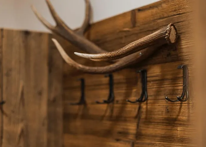 Penthouse Weiglhof 帕斯格许特路旁鲁斯巴赫