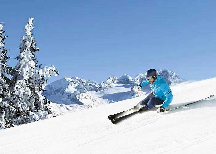 公寓 Penthouse Weiglhof *